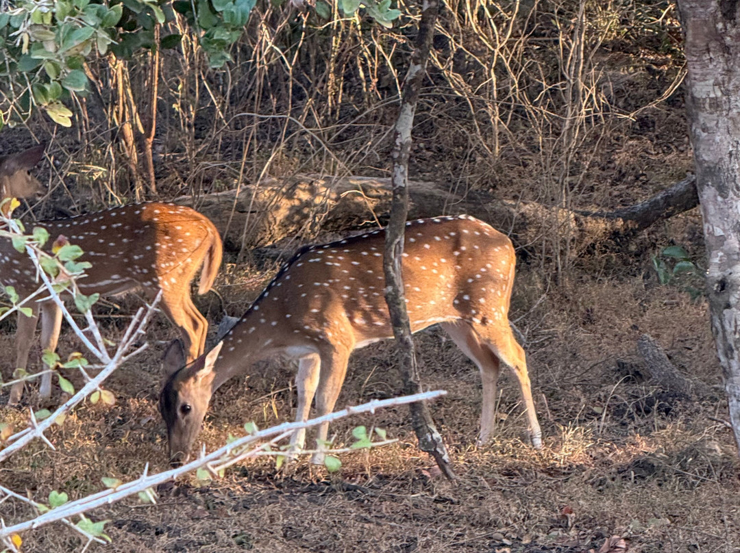 Slim Line Tours-Marawila必去景点