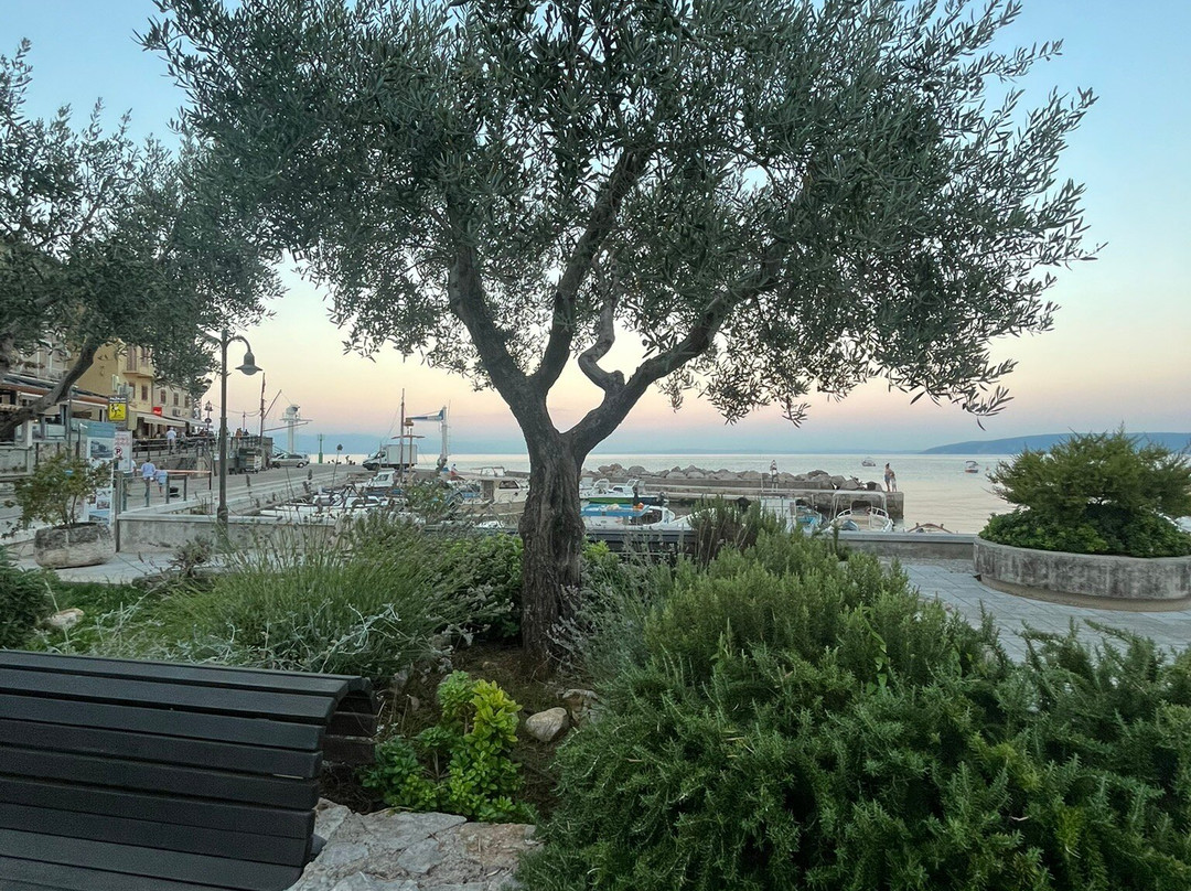 Moscenicka Draga-欧帕提亚必去景点