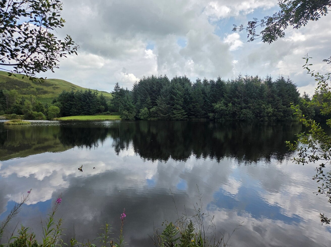 Bwlch Nant yr Arian Forest Visitor Centre-阿伯里斯特威斯必去景点
