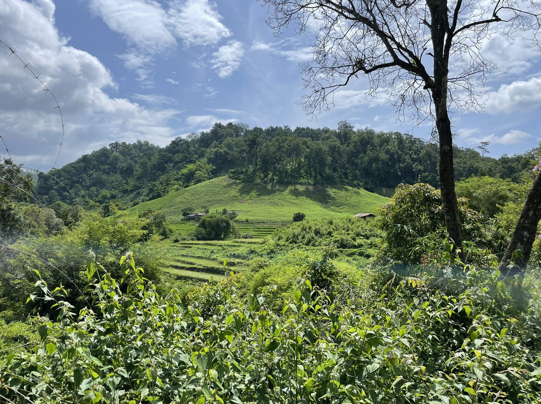 Trekking Collective Co - Private Day Tours-清迈必去景点