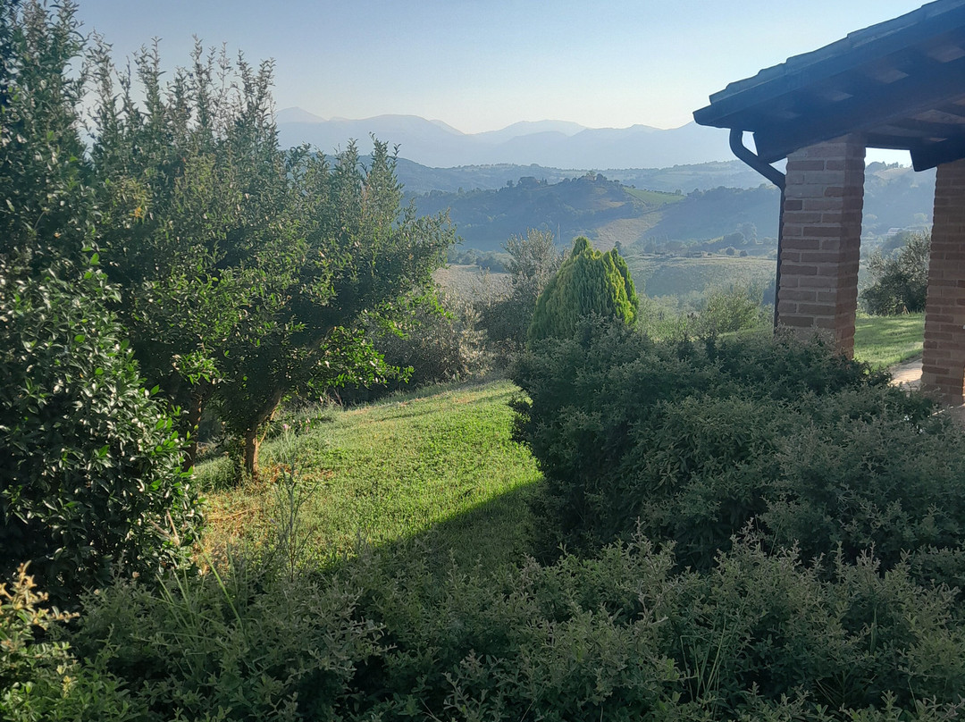 Agriturismo Il Melograno主图