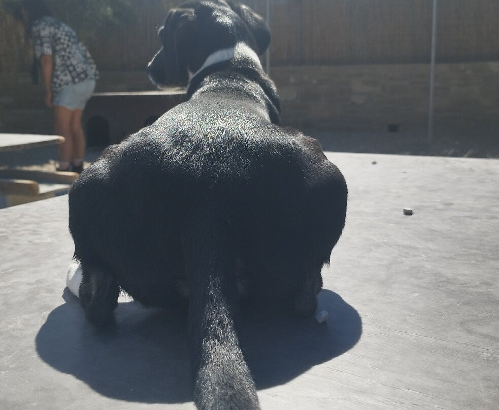 Takis Shelter-Ierapetra必去景点