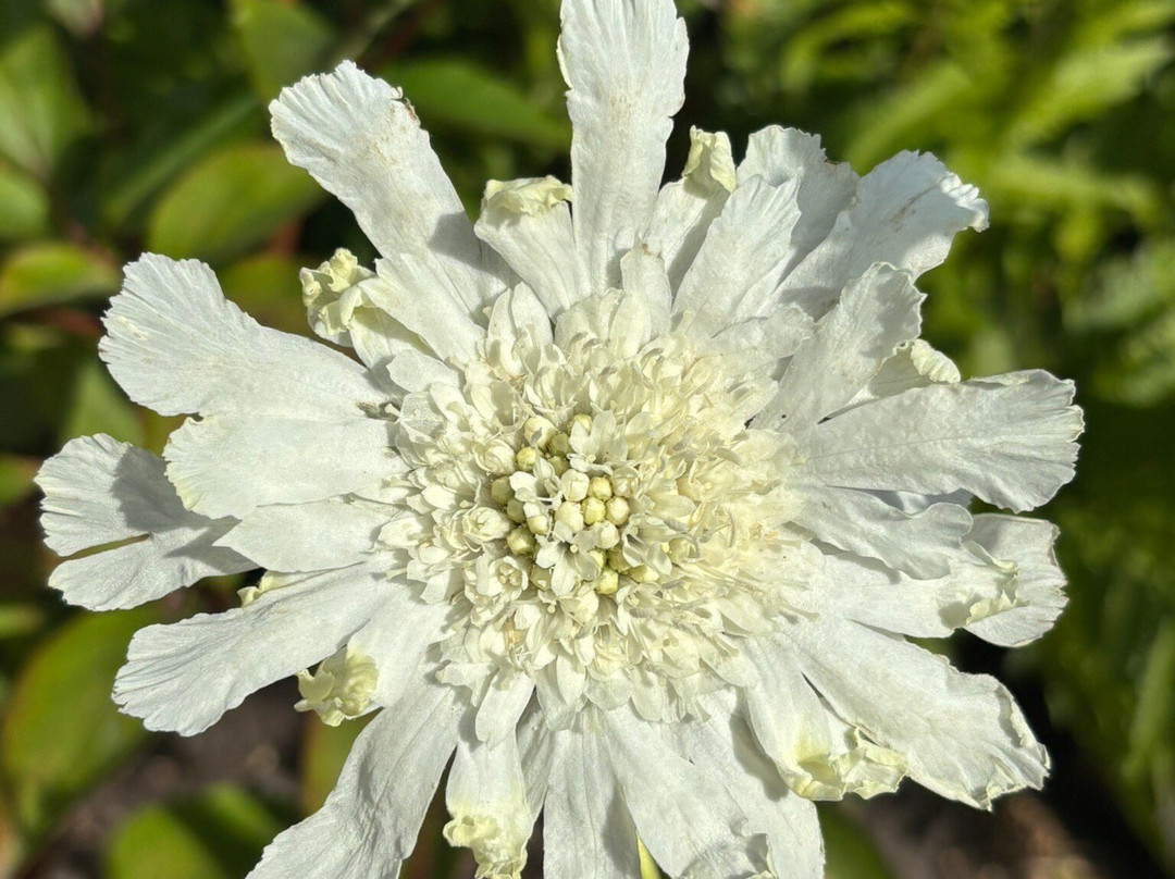 Fjaderholmarna-斯德哥尔摩必去景点