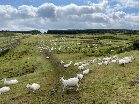 Kirkstone Mountain Pass-大湖区必去景点