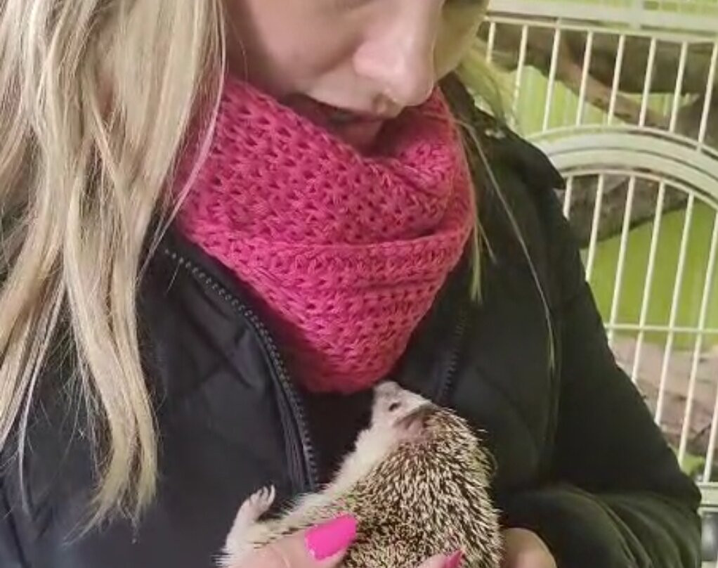 Huellitas por un sueño-Isla de Maipo必去景点