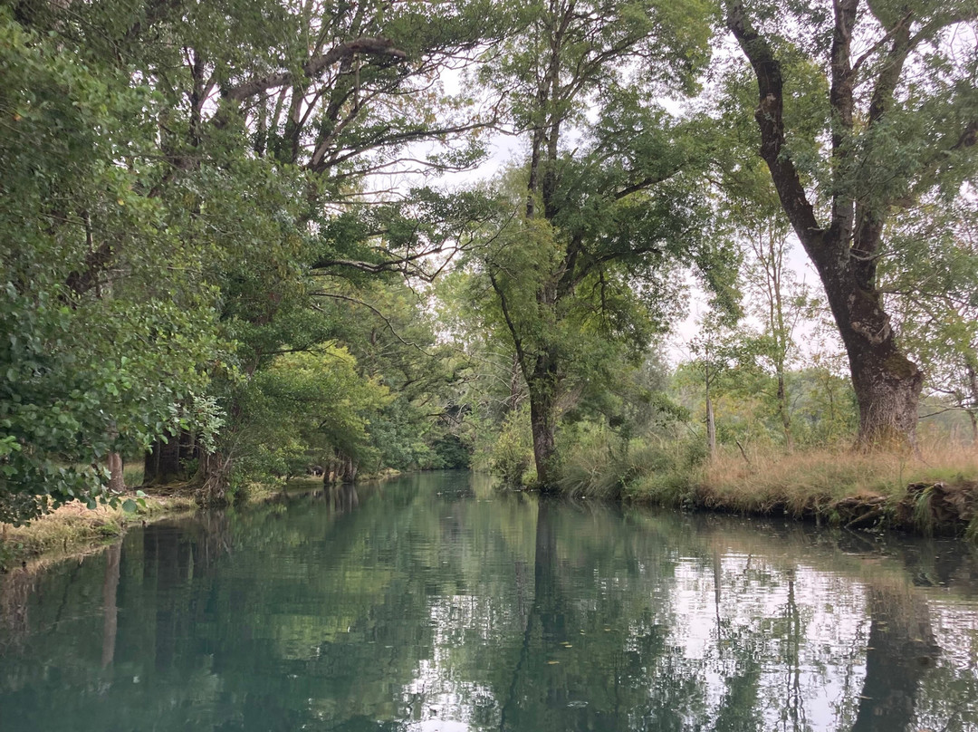 La Riviere de Chauvignac-Chenac-Saint-Seurin-d'Uzet必去景点