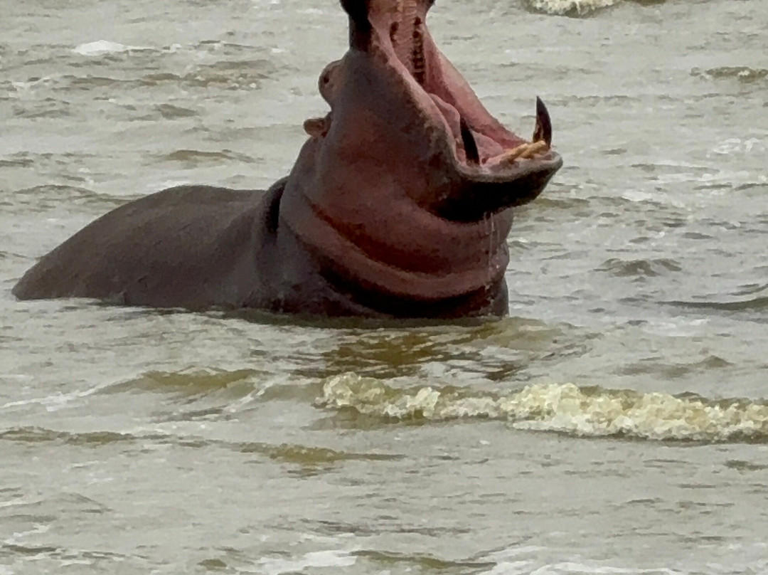 African Traits-阿鲁沙必去景点