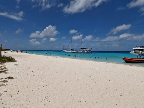 Powerboat Caribbean-威廉斯塔德必去景点