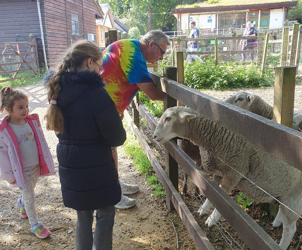 Tam O'Shanter Urban Farm-Birkenhead必去景点