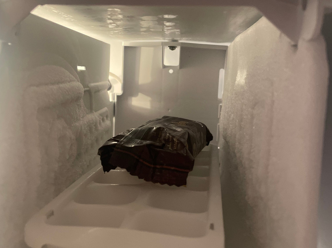 诺拉探秘公寓主图