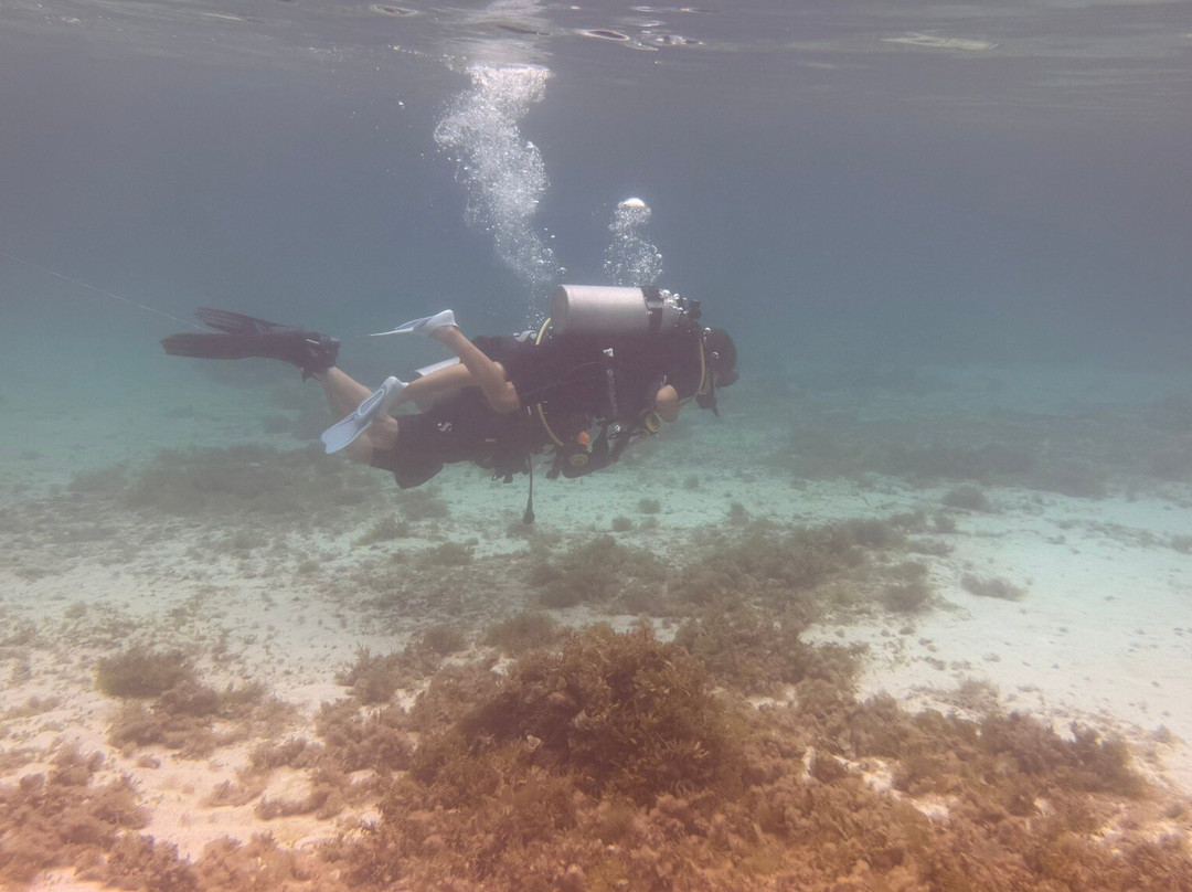 French Kiss Divers-妈妈拍丝瓜岛必去景点