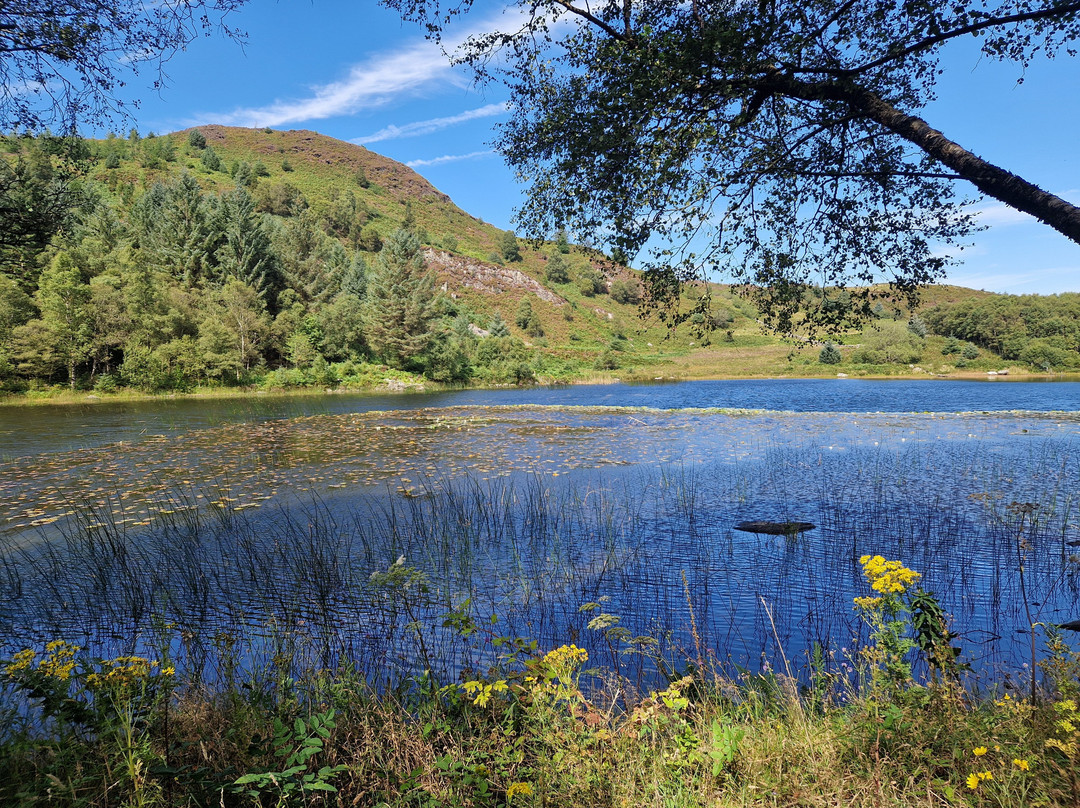Beics Betws-Betws-y-Coed必去景点