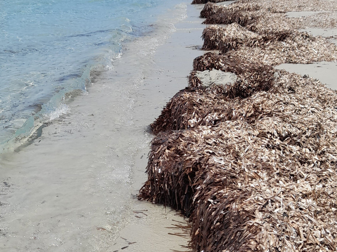 Spiaggia Putzu Idu-San Vero Milis必去景点