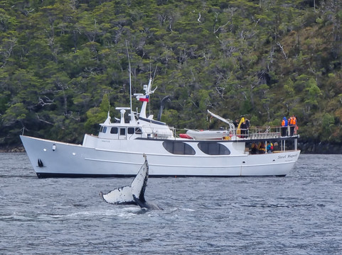 Solo Expediciones-蓬塔阿雷纳斯必去景点