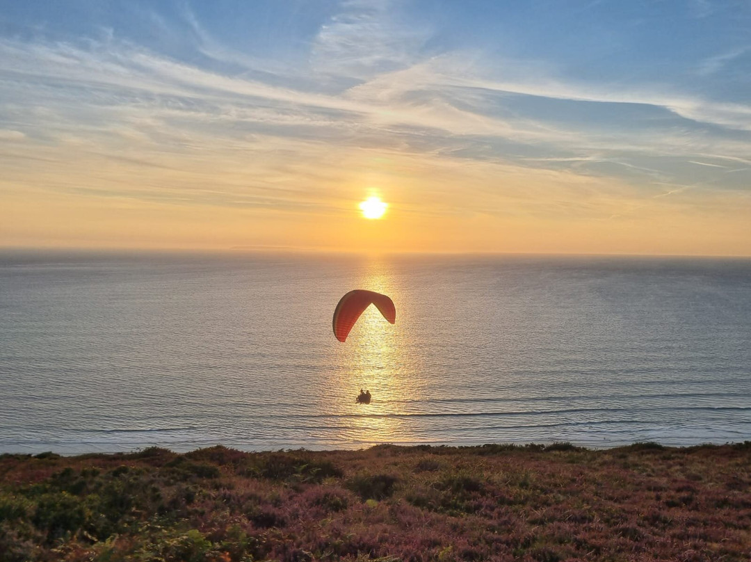 Fly Like a Bird-伍拉科姆必去景点