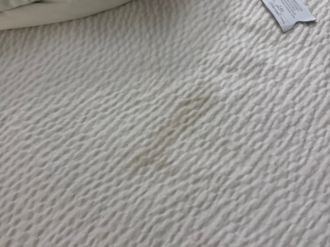 Red Roof Inn Somerset, KY主图