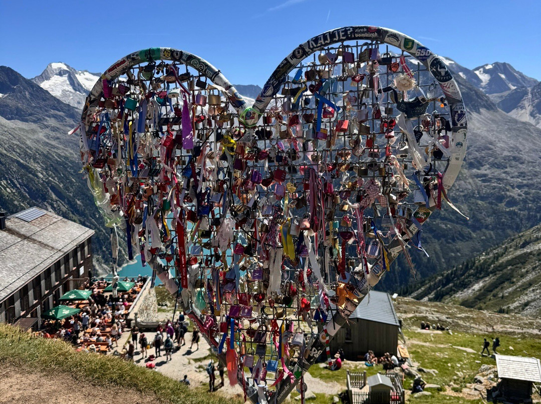 LEDERER's LIVING主图