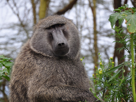 Guide Reagan-奈瓦夏必去景点