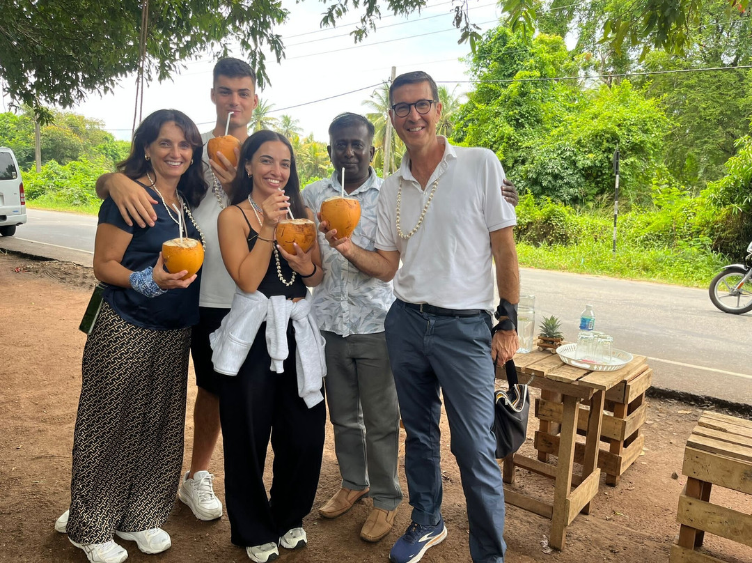 Private Tour Drivers Srilanka-卡图纳耶克必去景点