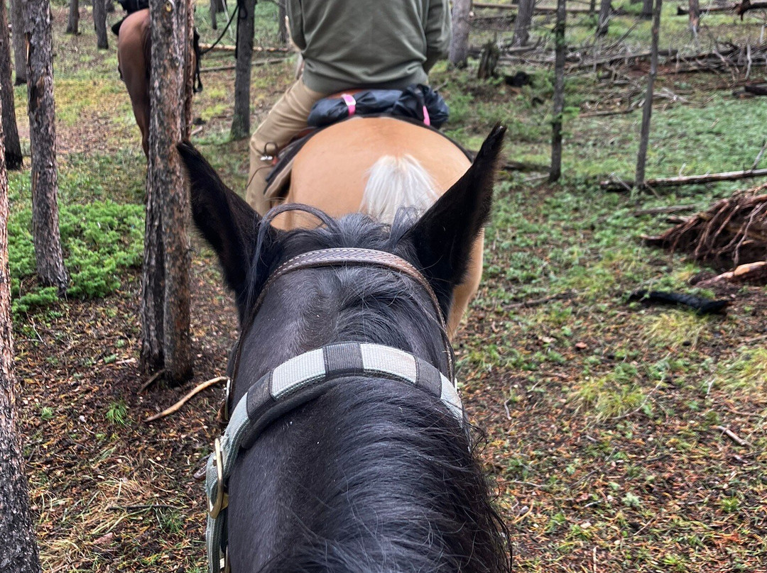 Bear Mountain Stables-Conifer必去景点
