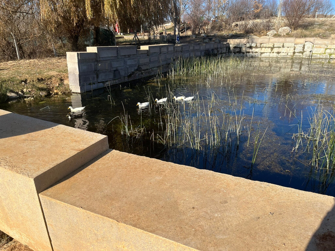 Eflatunpinar Hitit Su Aniti-贝伊谢希尔必去景点