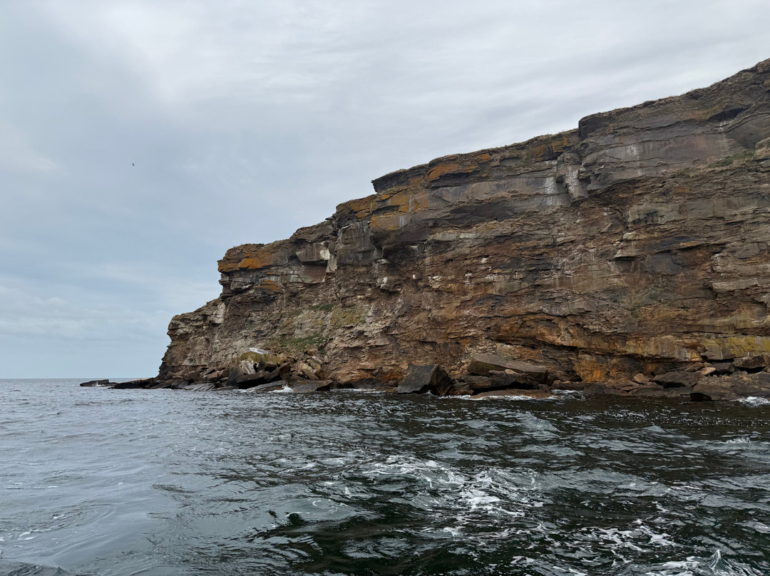 Bird Island Boat Tour-Big Bras d'Or必去景点