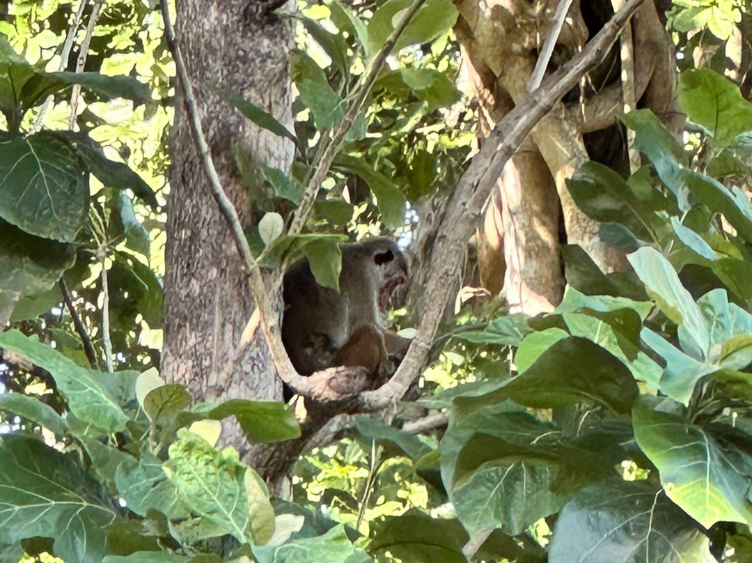 Kottawatta River Bank Resort主图