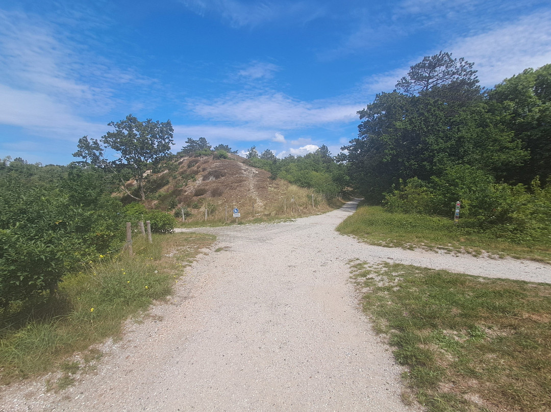 Schoorlse Duinen-Schoorl必去景点