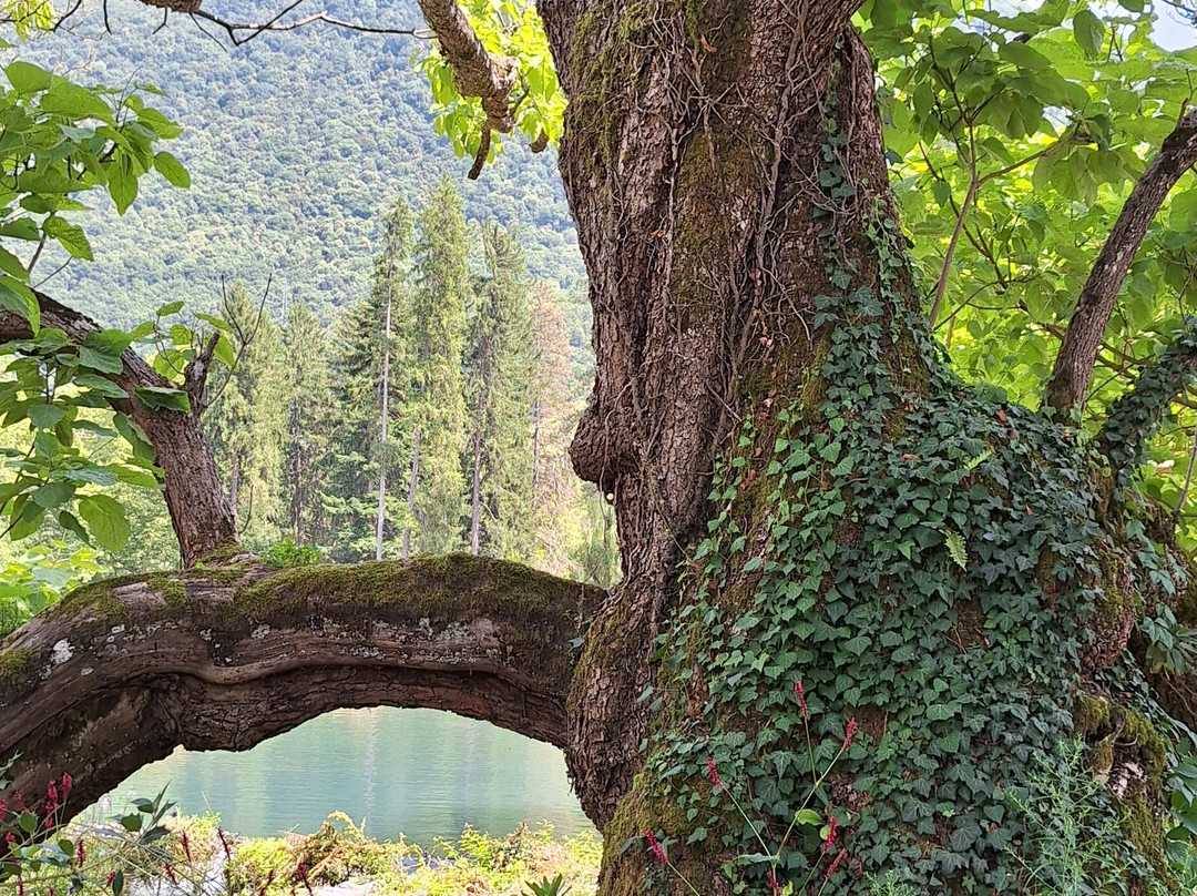 Parc du Chateau de Vizille-Vizille必去景点