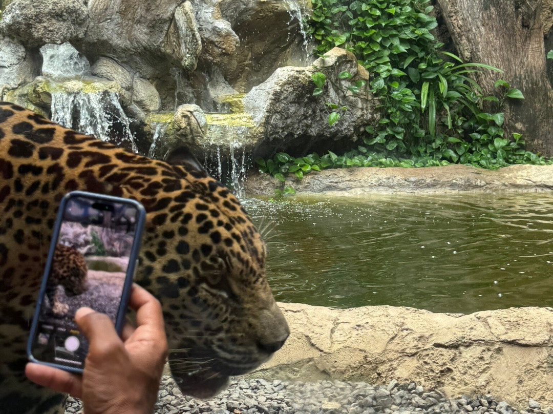 Diamante Eco Adventure Park-Playa Matapalo必去景点