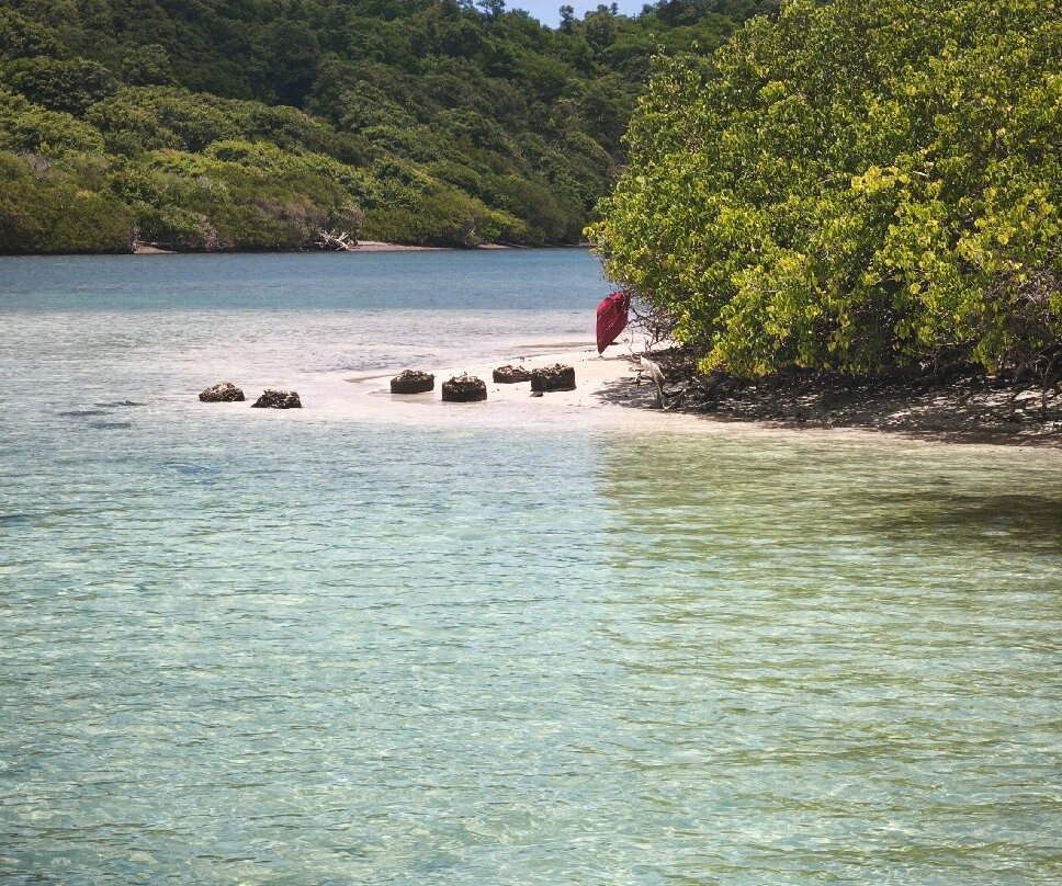 Les Ballades du Delphis-Le Francois必去景点