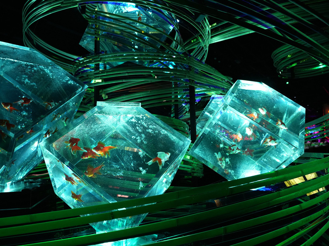 Art Aquarium-Ginza必去景点