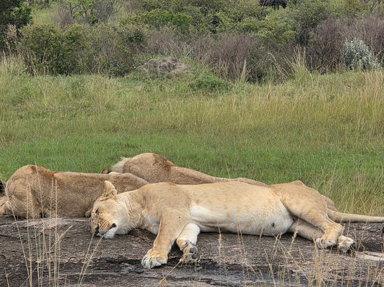 Keyron Vacation Ltd-蒙巴萨必去景点