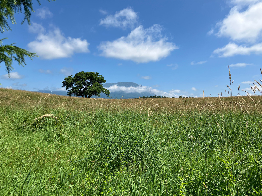 Koiwai Farm-雫石町必去景点