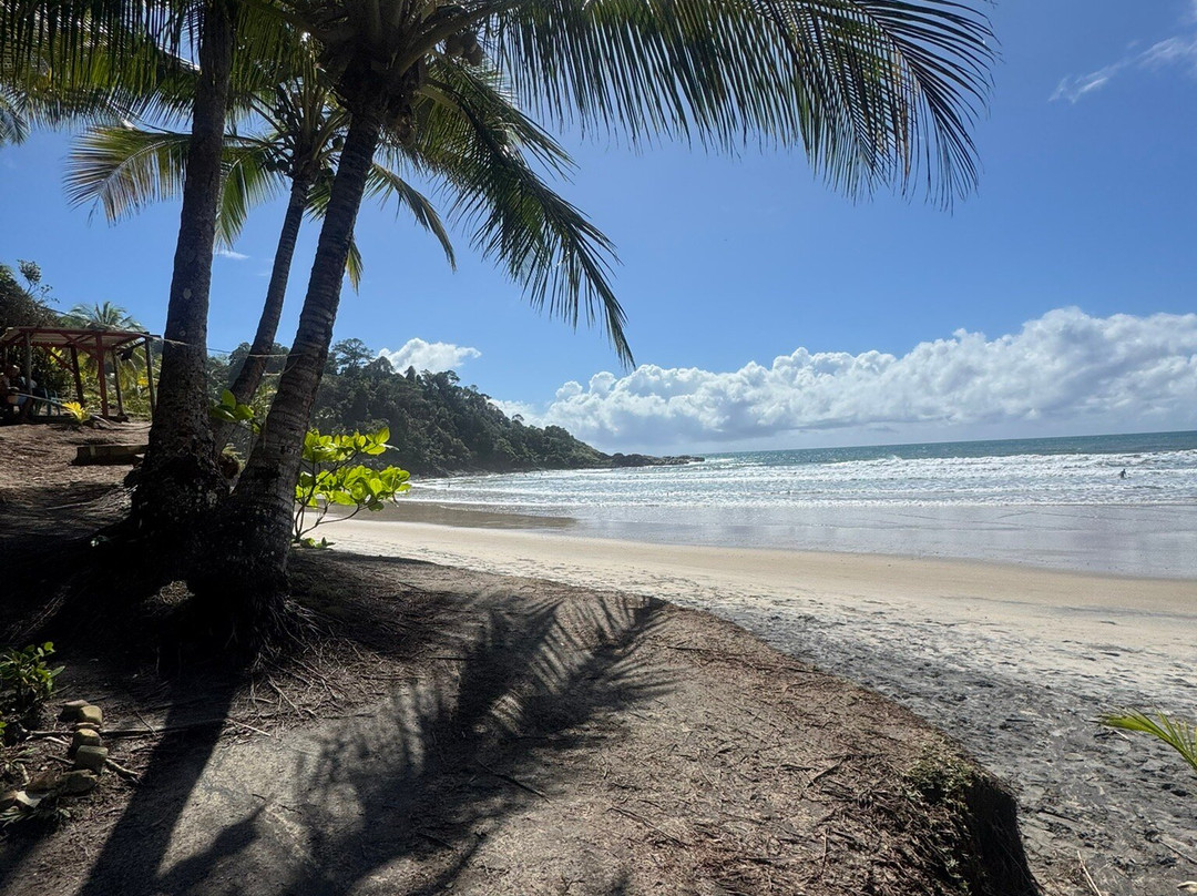 Engenhoca Beach-Itacare必去景点
