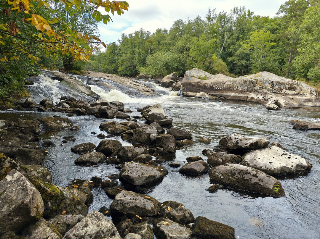 Naturreservatet Sörkvarnsforsen,