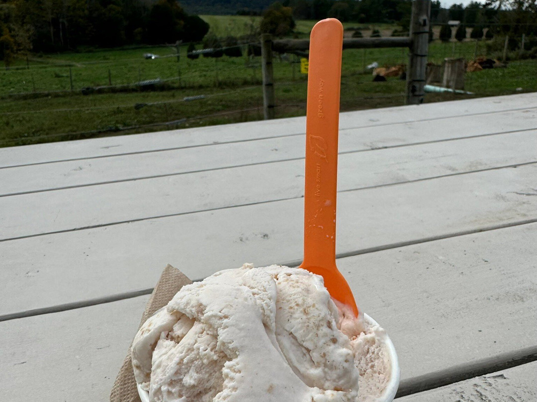 High Lawn Farm-利镇必去景点