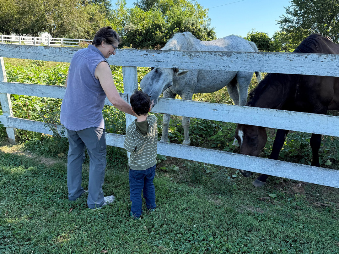 Briar Patch Bed & Breakfast Inn主图