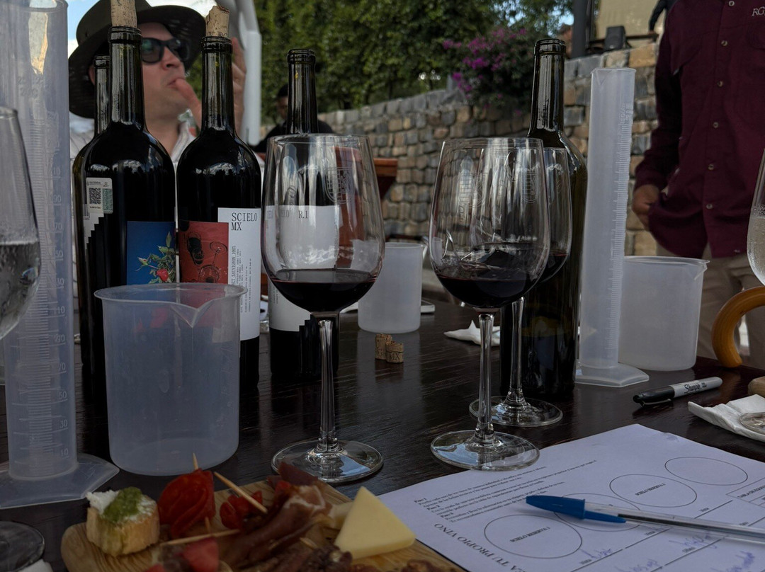 Bodega RGMX-Parras de la Fuente必去景点