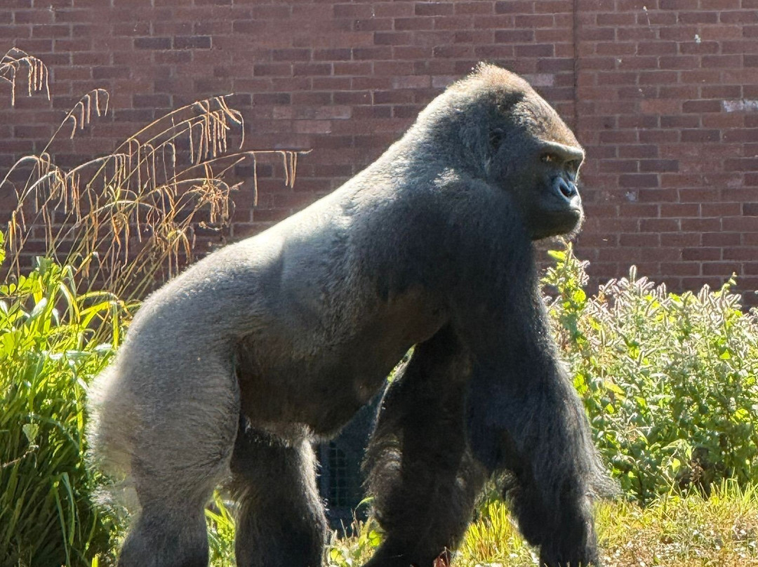 Paignton Zoo Environmental Park-佩恩顿必去景点