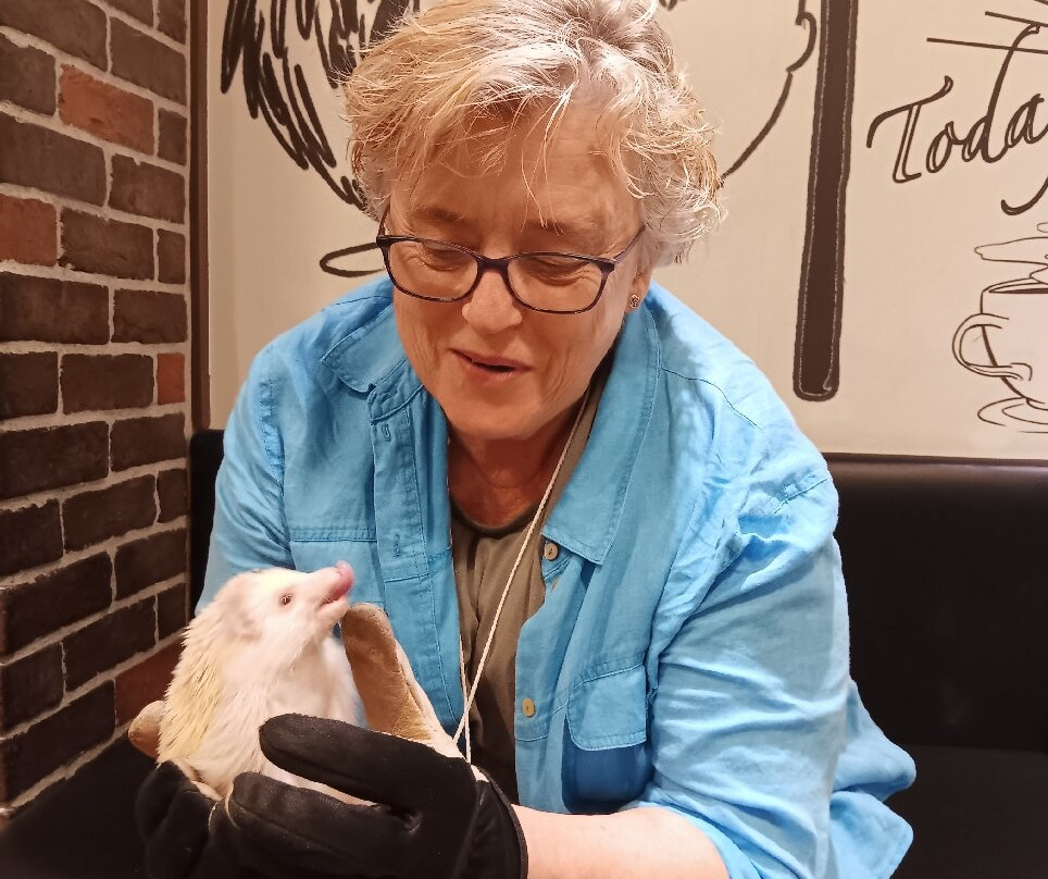 Hedgehog Cafe HARRY, Harajuku-涩谷区必去景点