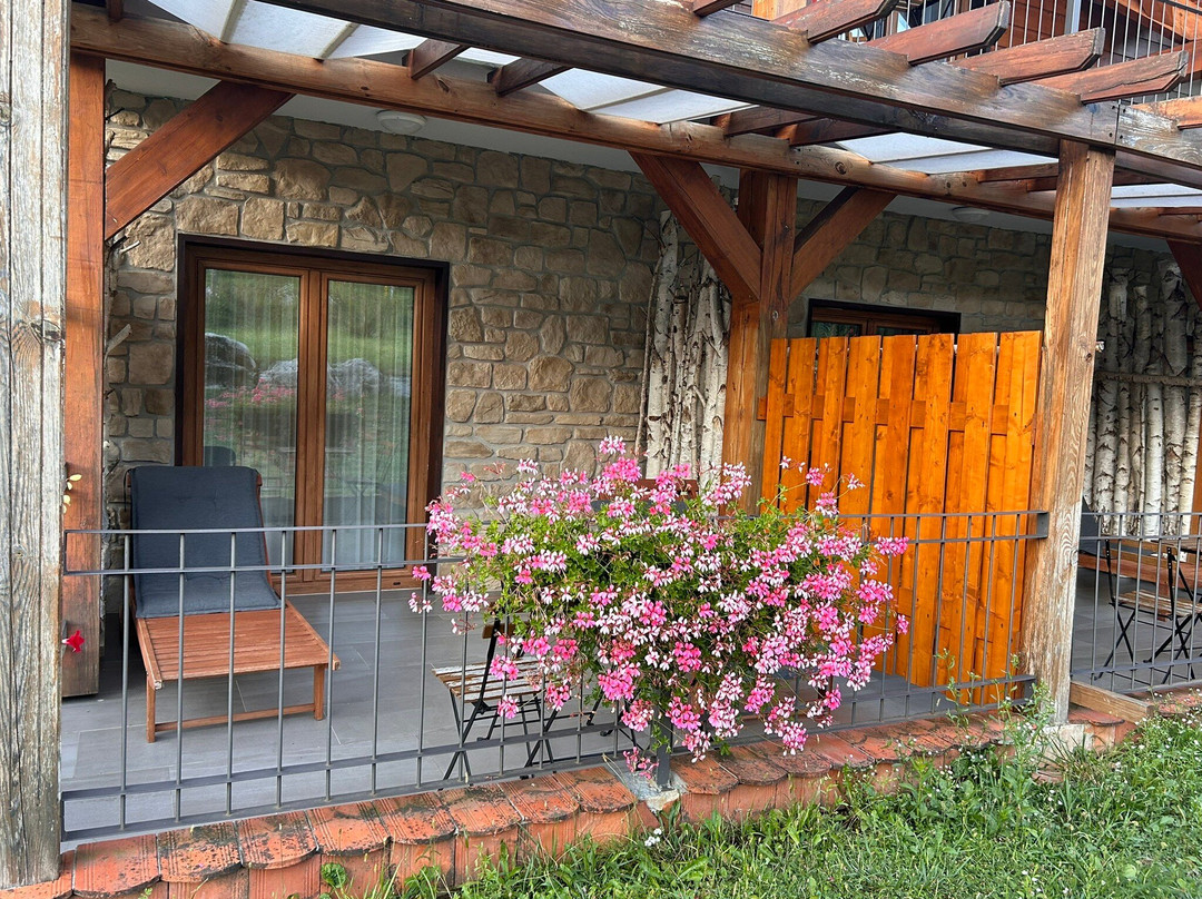 Mrzlin Grad Tourist Resort主图