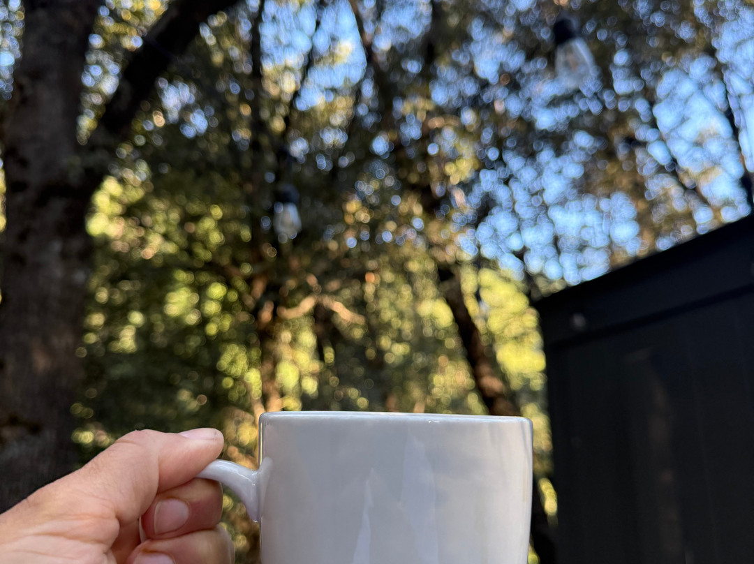 Cave Springs Resort主图