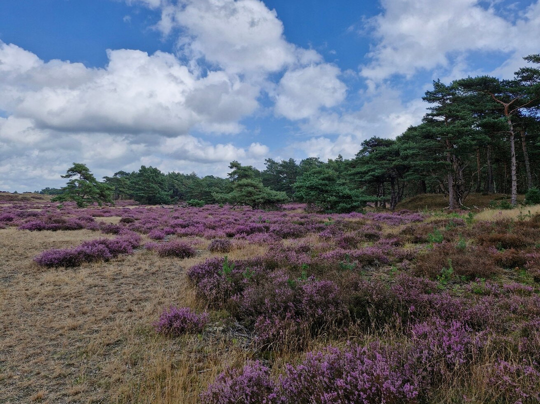 De Hoge Veluwe National Park-Gelderland Province必去景点