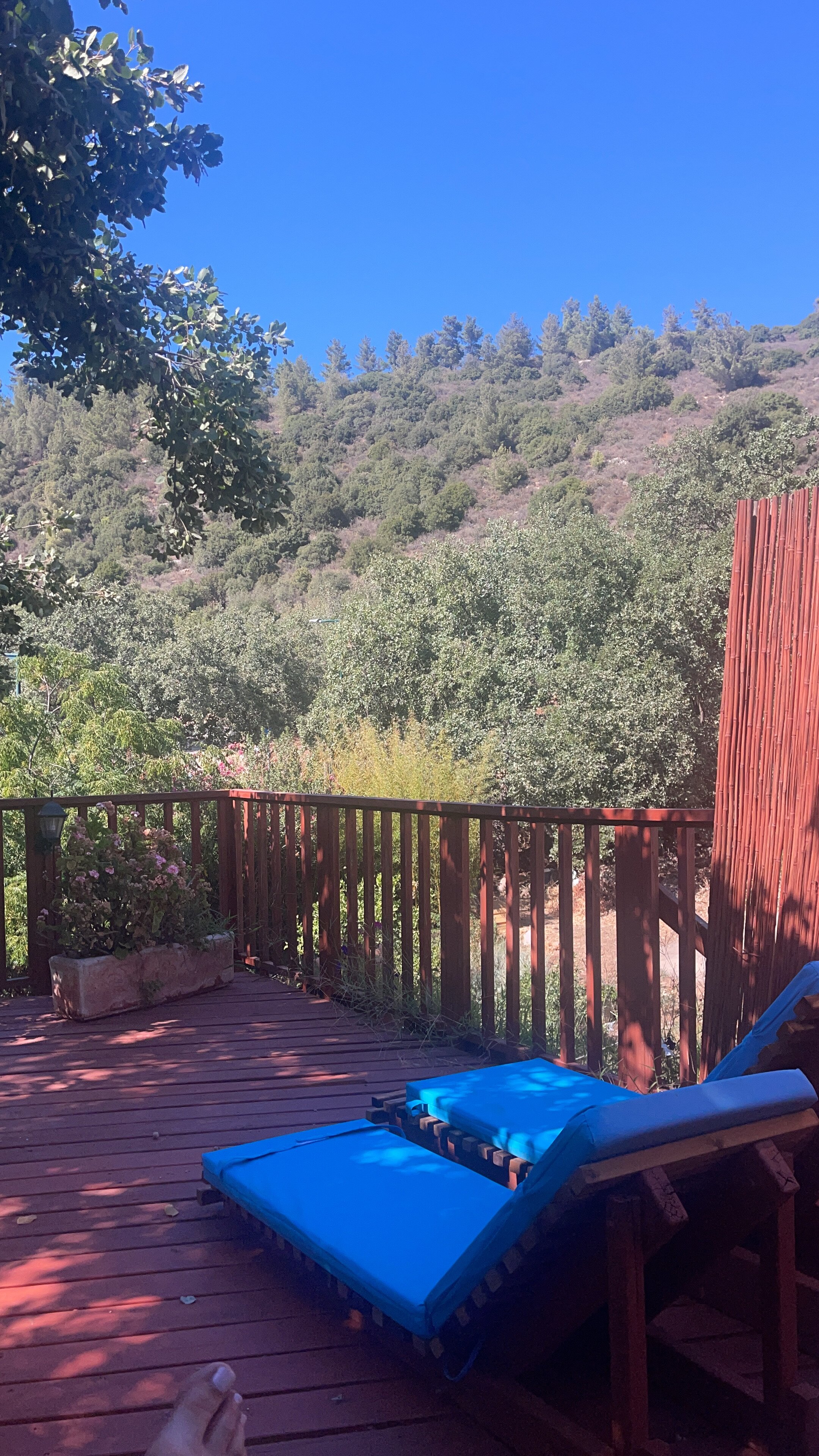 Spa in the Woods-官方