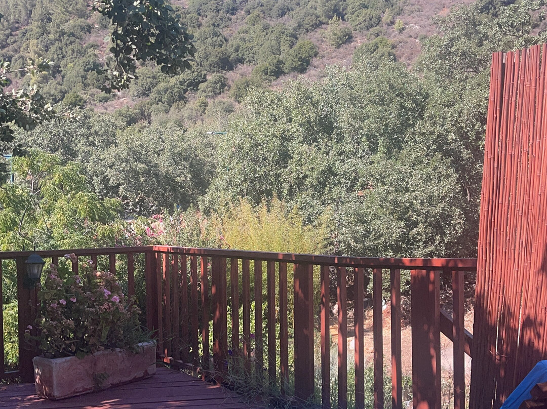 Spa in the Woods主图