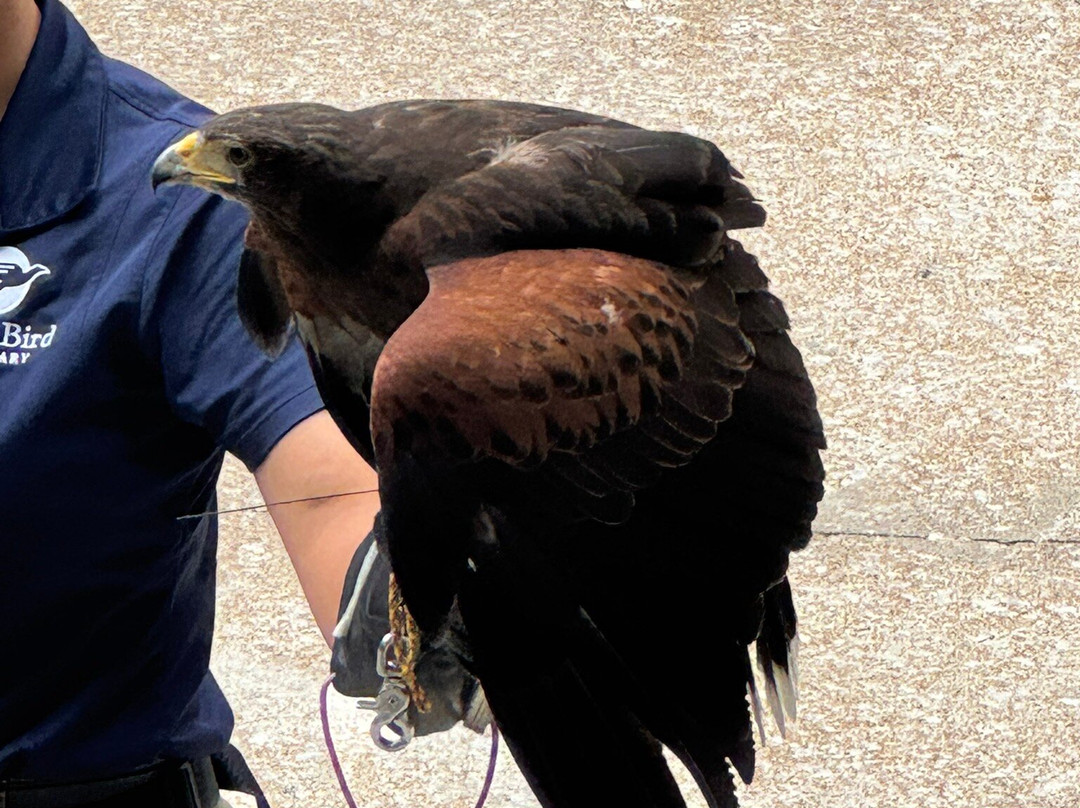 World Bird Sanctuary-Valley Park必去景点