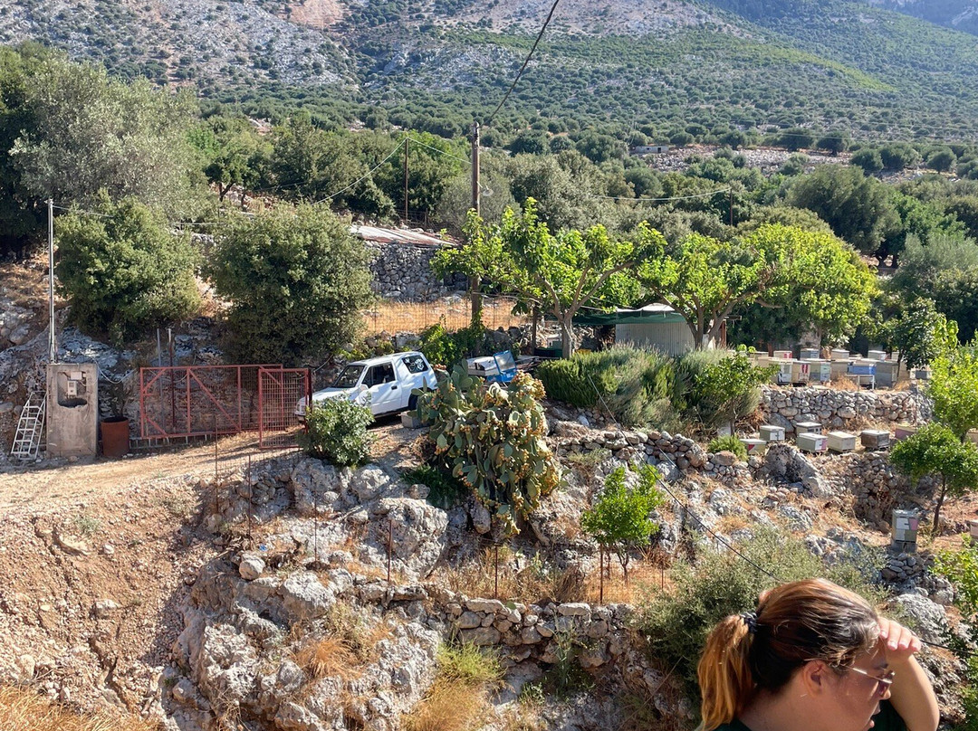 Kefalonian Honey Michalatos-Vlachata必去景点