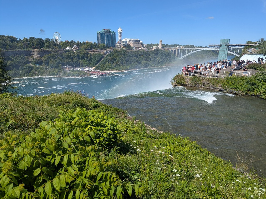 Goat Island-尼亚加拉大瀑布必去景点