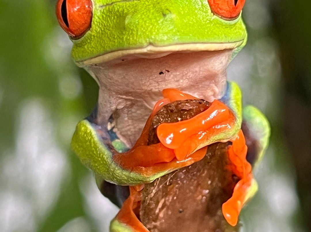 Royal Service Tours-利比里亚必去景点